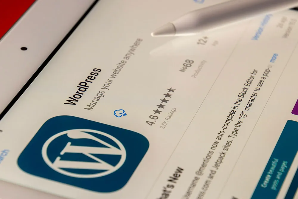 Wordpress b2b 外贸独立站建设