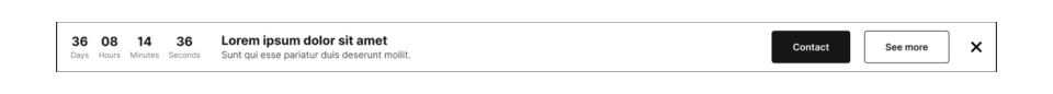 Banner Section 10 布局预览