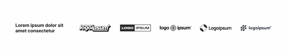 Logo Section 6 布局预览