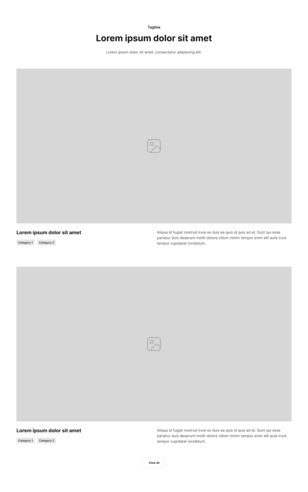 Portfolio Section 2 布局预览