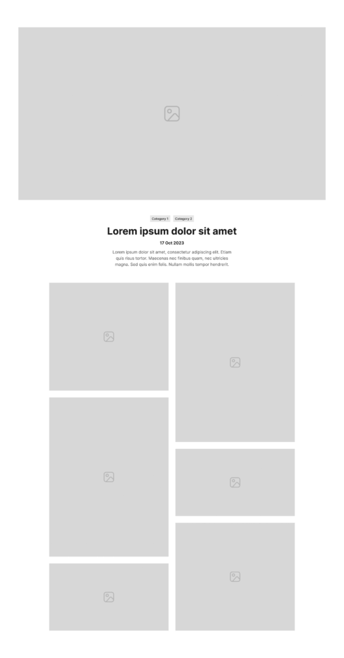 Single Portfolio Section 1 布局预览
