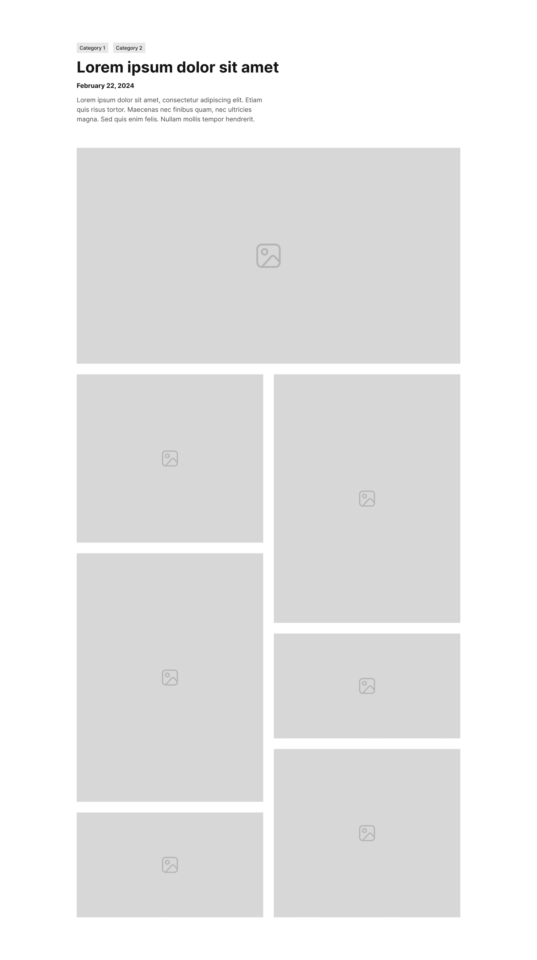 Single Portfolio Section 2 布局预览