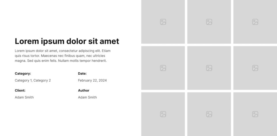 Single Portfolio Section 5 布局预览