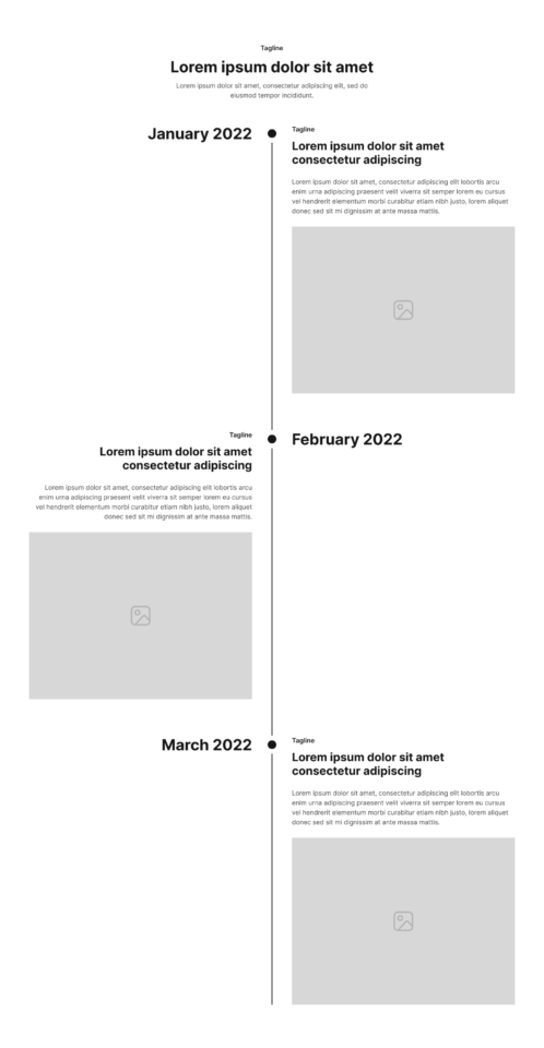 Timeline Section 8 布局预览